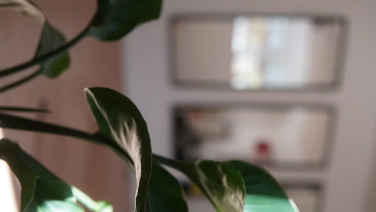 Einblick in Yogapraxis und Studio 2